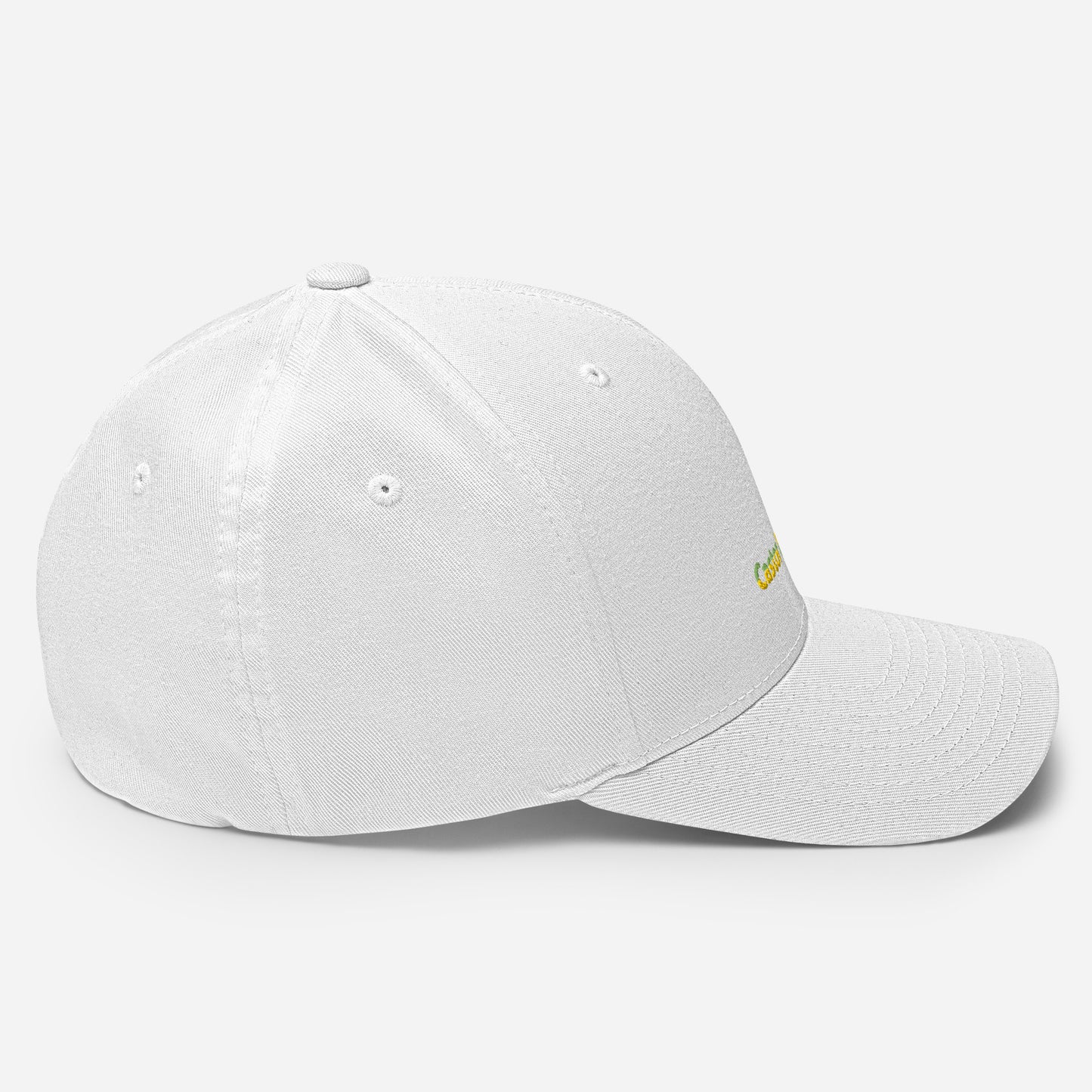 Structured Twill Cap