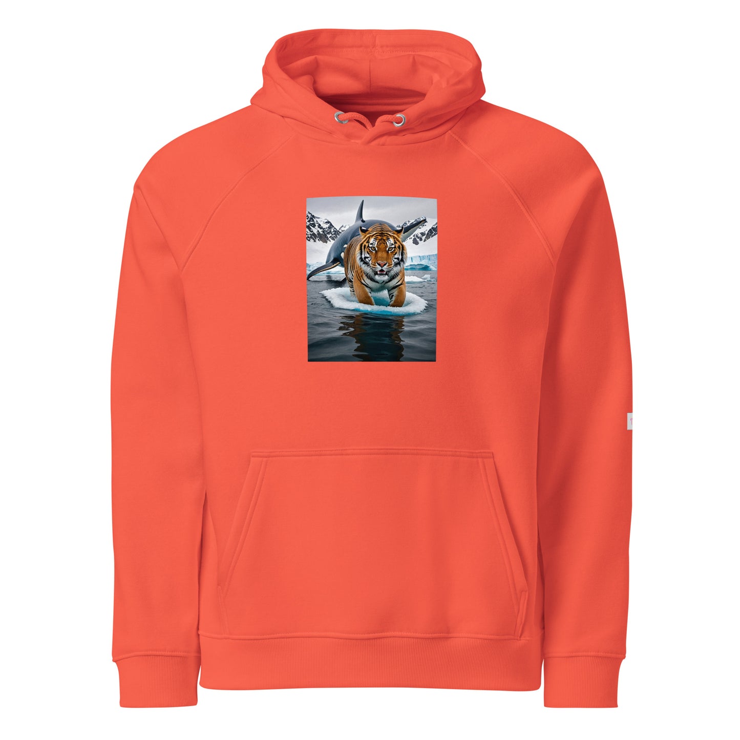 Unisex eco raglan hoodie
