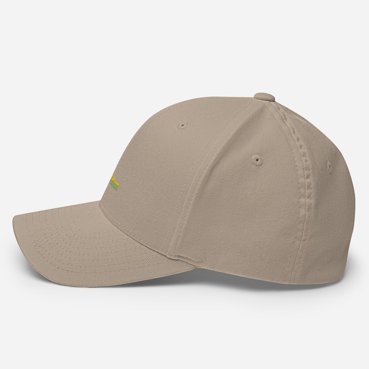 Structured Twill Cap