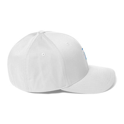 Structured Twill Cap