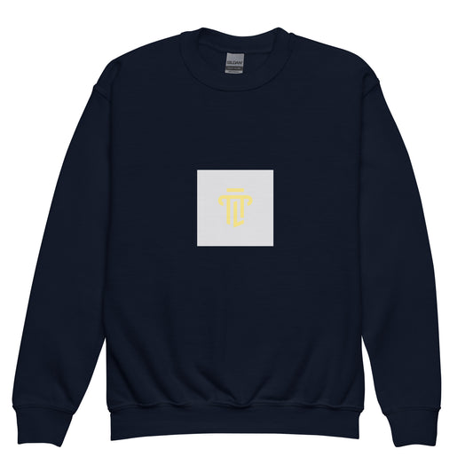 Youth crewneck sweatshirt